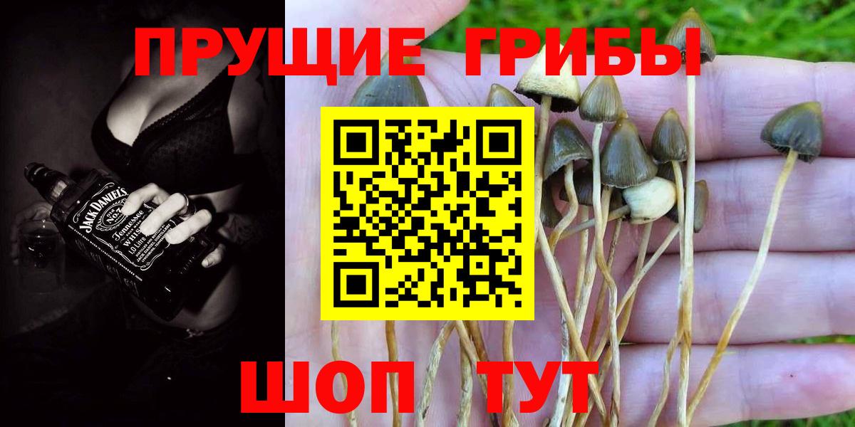 Псилоцибиновые грибы ЛСД  Вход с VPN  Галлюциногенные грибы мухоморы  Чернушка 