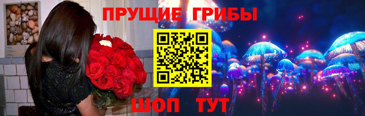 Галлюциногенные грибы Magic Shrooms Чернушка