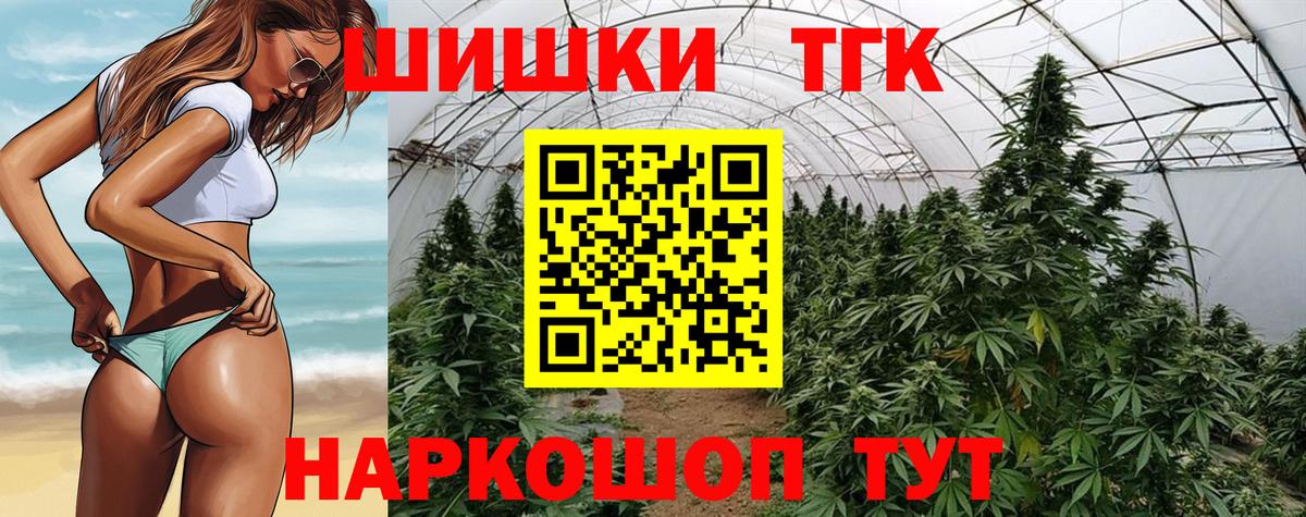 Каннабис сатива Чернушка